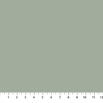 Eucalyptus - Colorworks Solid - Northcott