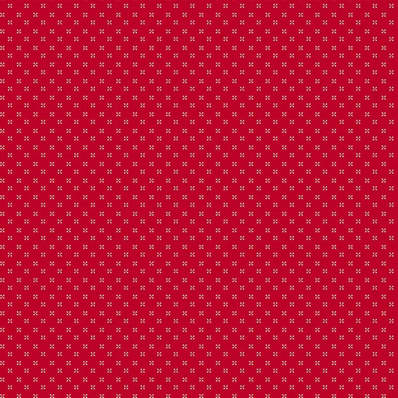 Dots in School House - Radiant Ruby - Riley Blake Designs