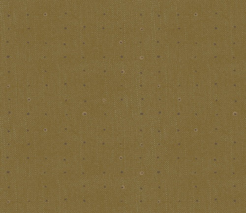 AGF -Seedlings - Olive
