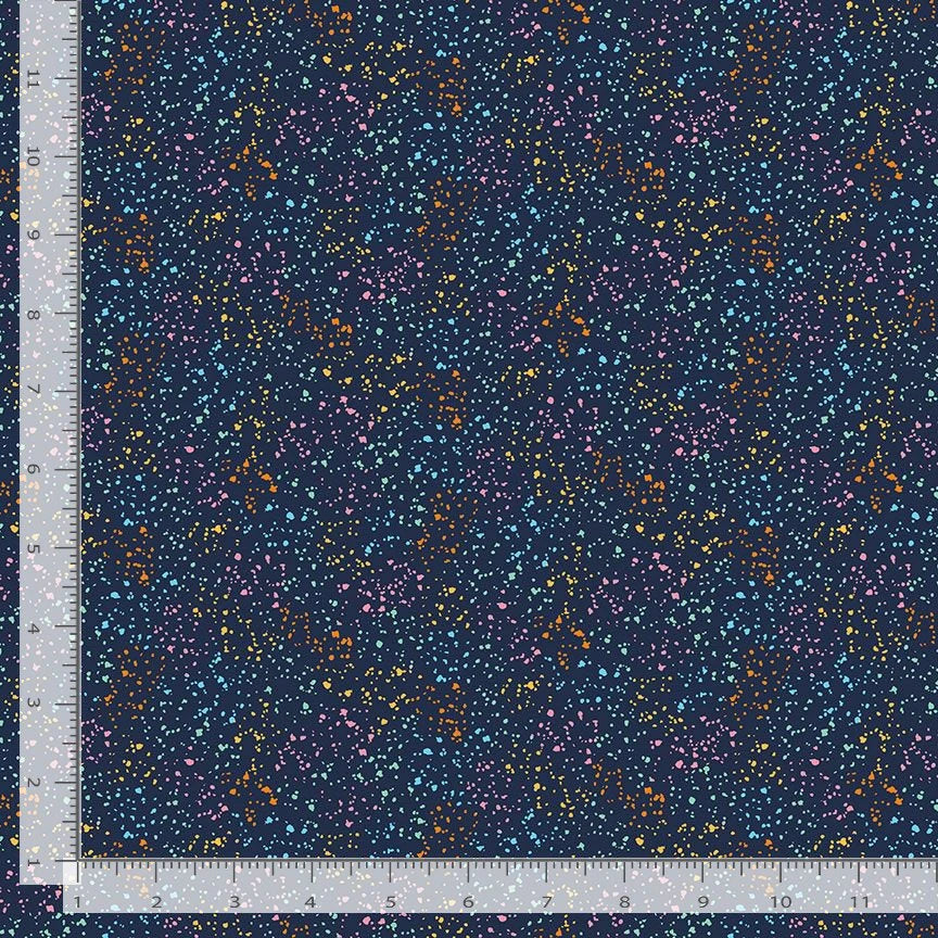 Little Harlequin - Stardust - Dear Stella