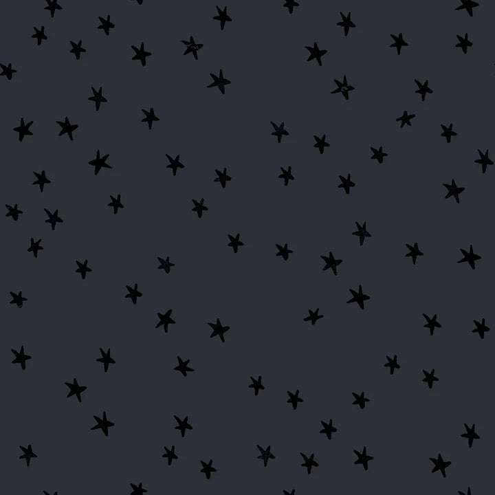 Ruby Star Society - Starry - New Colour - Charcoal