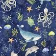Underwater  - Paradise Bay - Willmington
