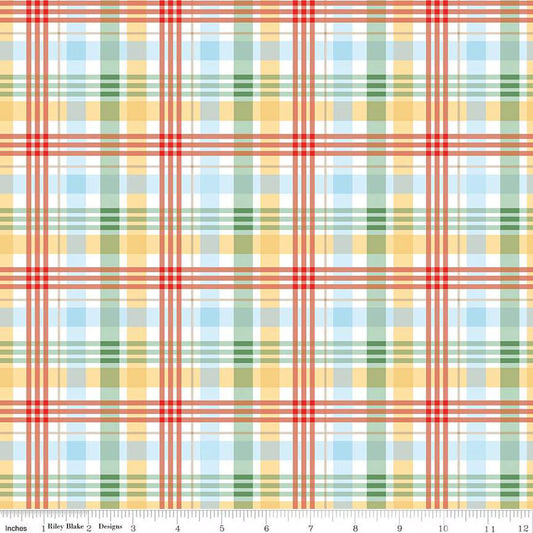 Plaid Multi - Winnie the Pooh  - Riley Blake