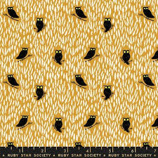 Eerie Owls Cactus - Tiny Frights - Ruby Star