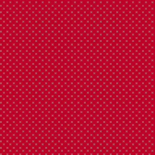 Dots in School House - Radiant Ruby - Riley Blake Designs